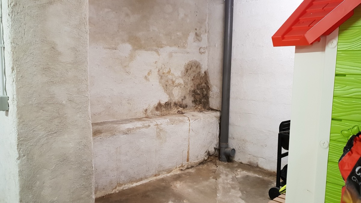 Infiltrations d'eau - Expertise humidité à Bourges